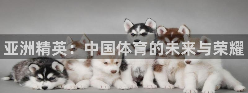哈希娱乐体育平台总代理