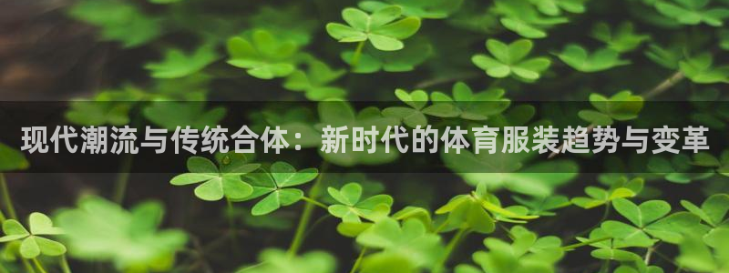 哈希娱乐5招商