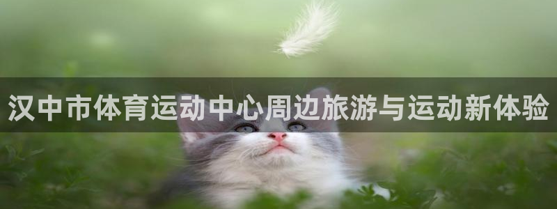 意昂4