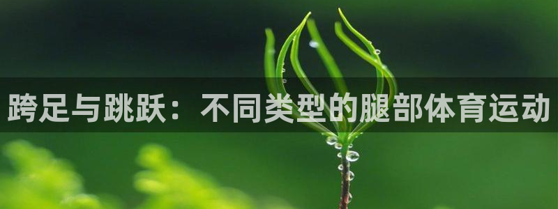 意昂包怎么样