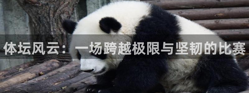 哈希娱乐平台开户链接