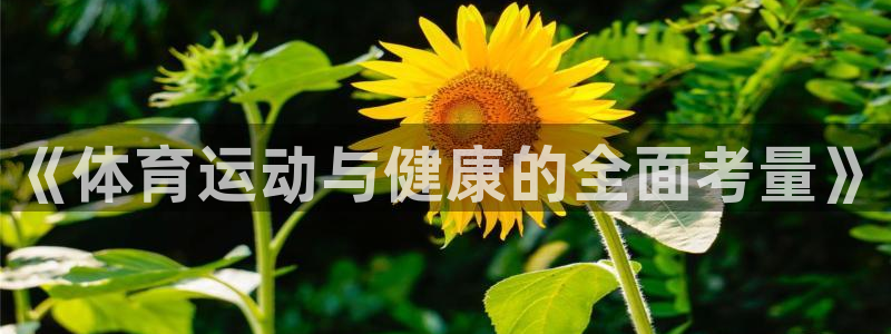 东莞市哈希娱乐电子科技有限公司