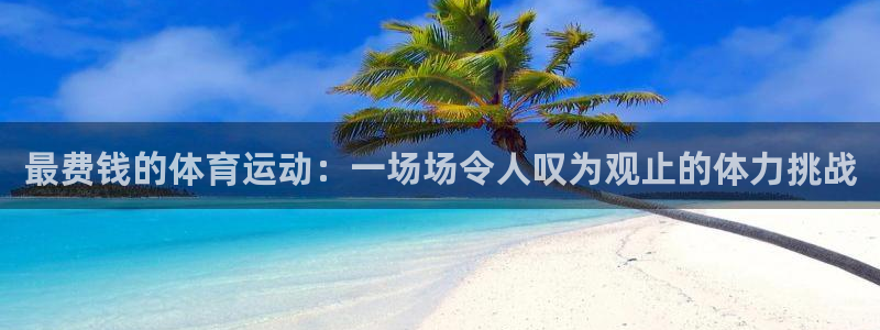 哈希娱乐体育f开户