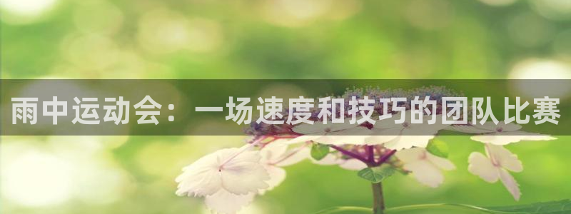 哈希娱乐3官网登录