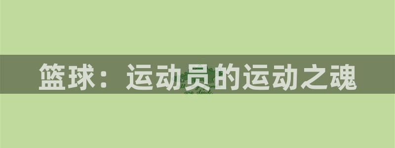哈希娱乐体育官网登录
