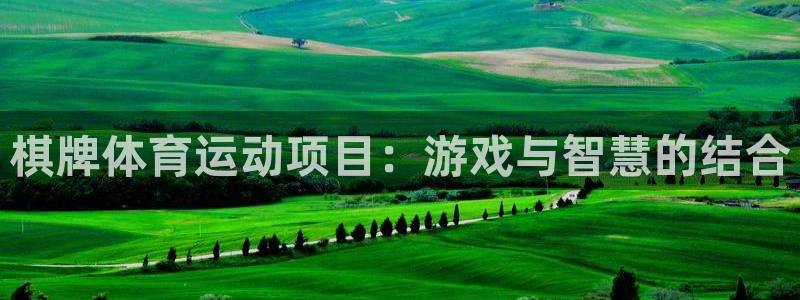 杭州意昂科技有限公司