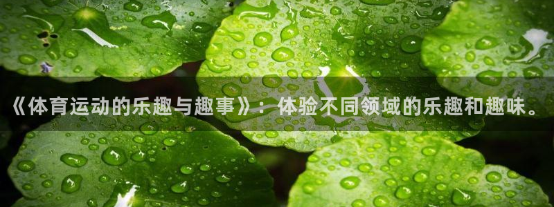 东莞市意昂电子科技有限公司