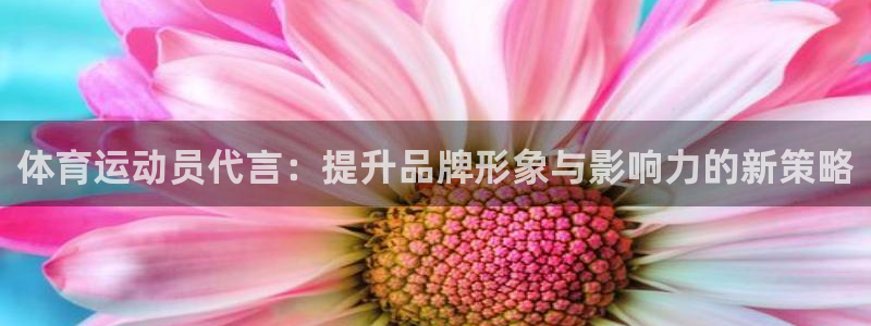 意昂官网注册
