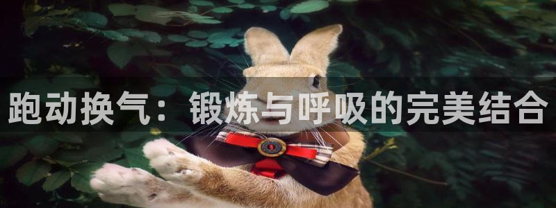 哈希娱乐体育平台开号链接